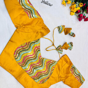 Fancy Design Blouse |b39