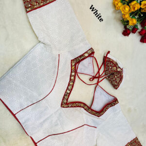 Fancy Design Blouse |b38