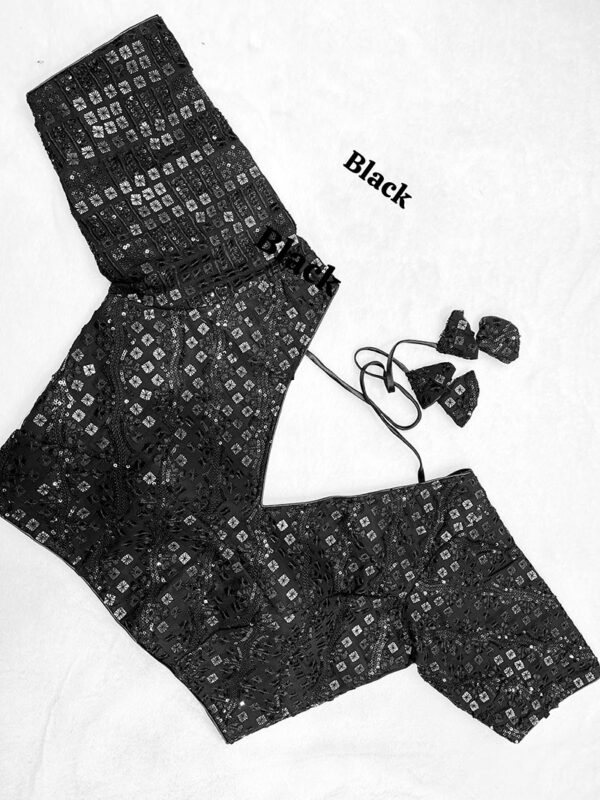 Fancy Design Blouse |b33