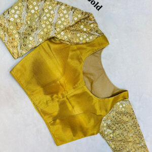 Fancy Design Blouse | b34