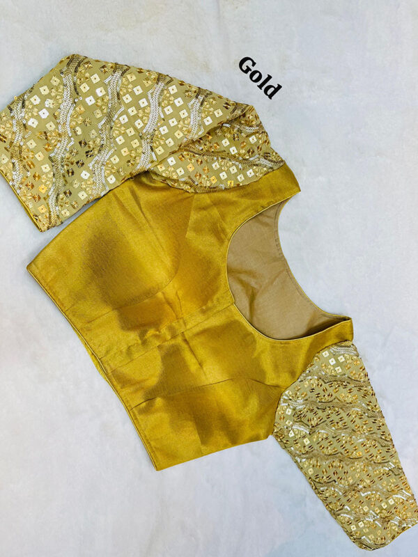 Fancy Design Blouse | b34