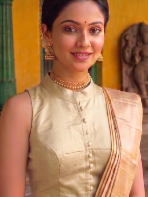Cotton Silk Blouse
